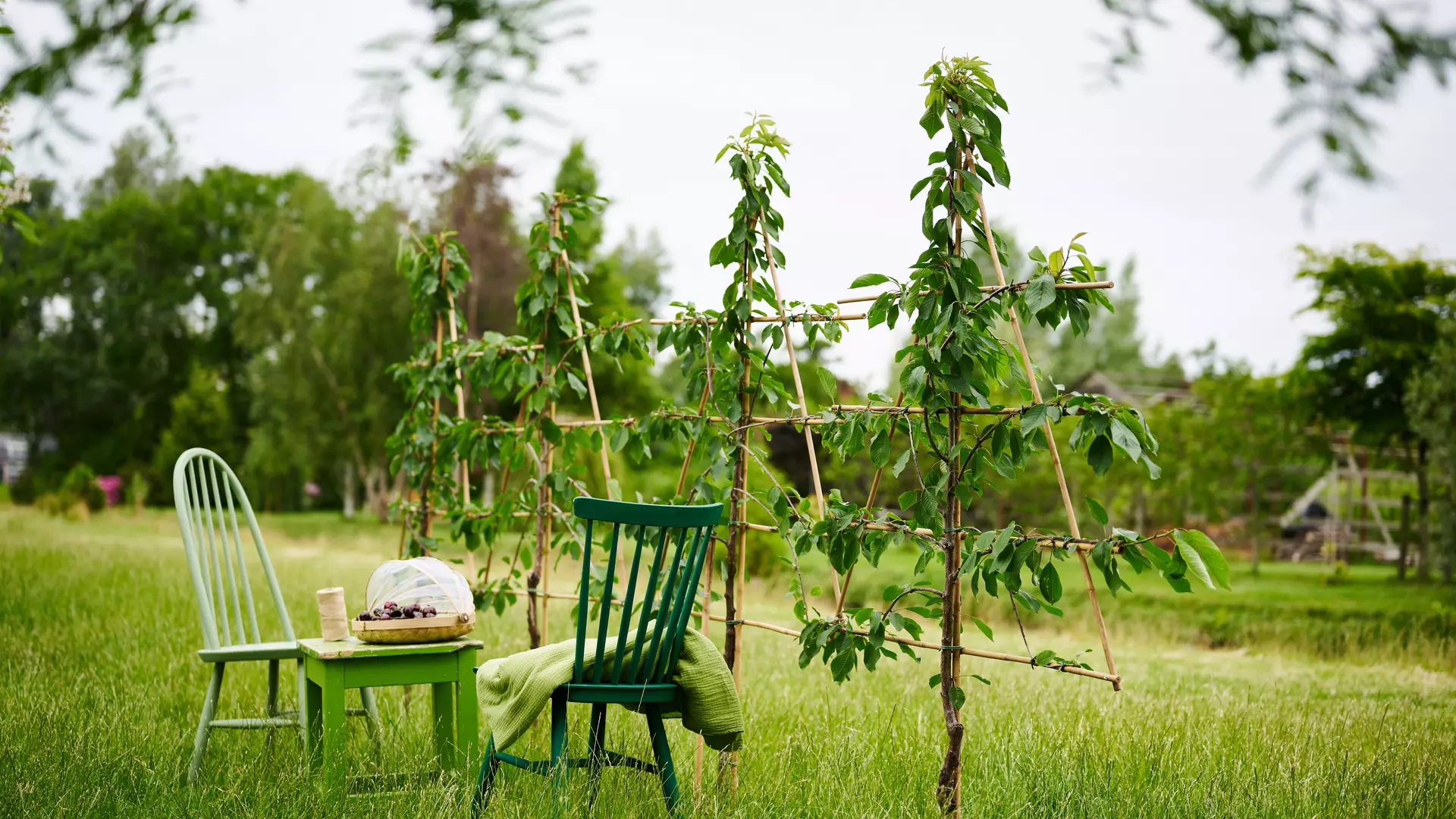 1. Mai, Tag der Arbeit geöffnet