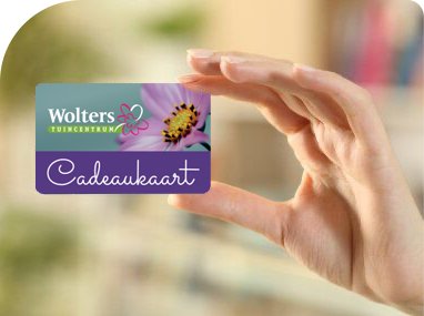 Cadeaukaart bestellen Cadeaukaart bestellen
