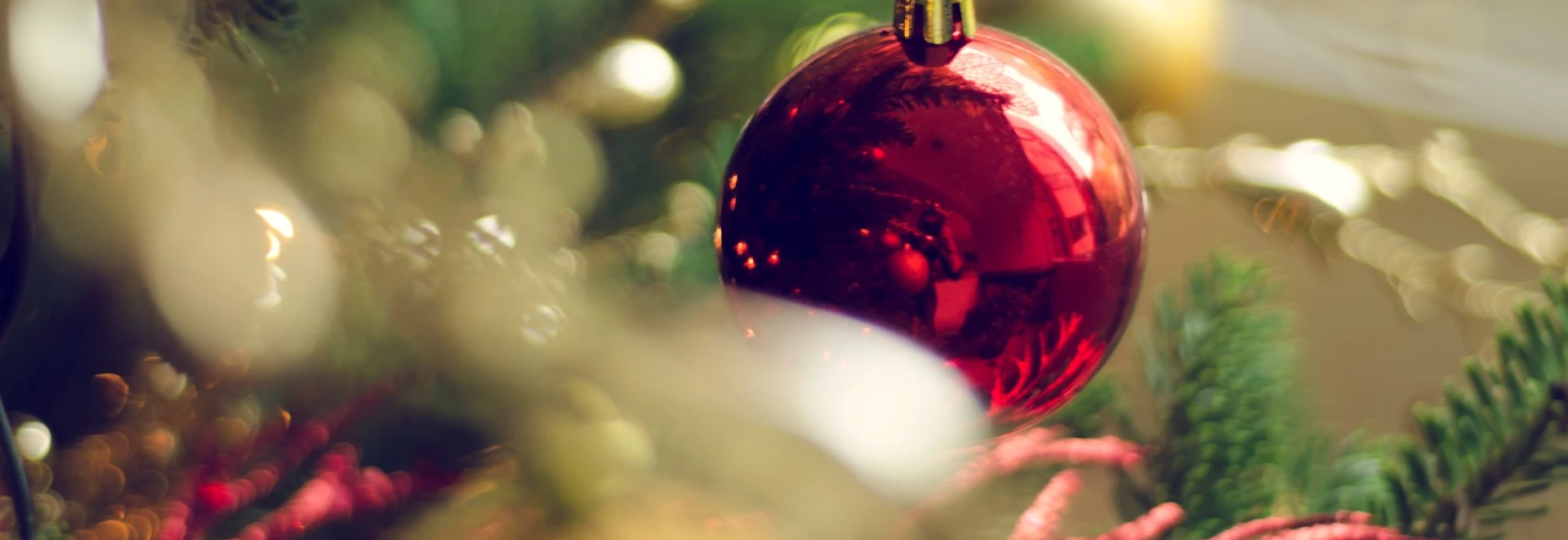 Kerstshow Bezoek onze kerstshow!
