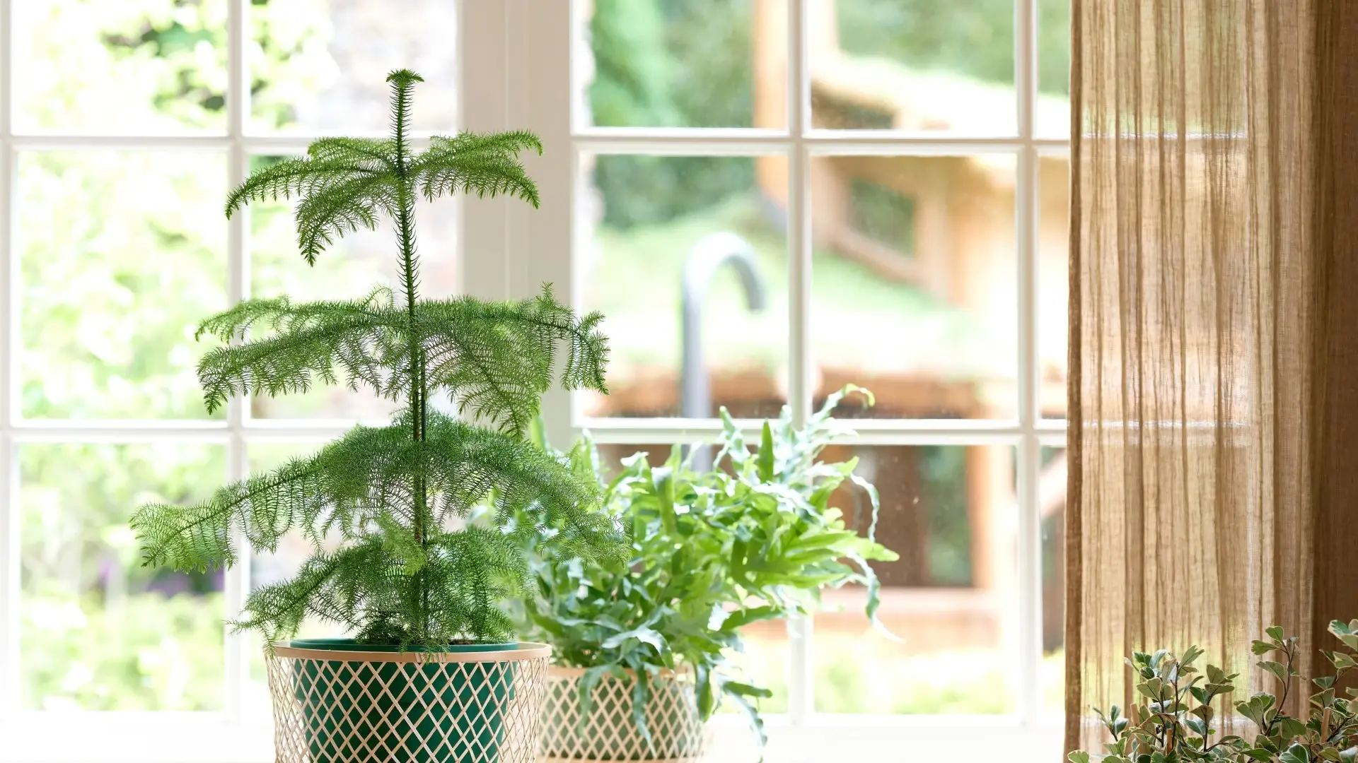 Onze kunstkerstbomen staan online!