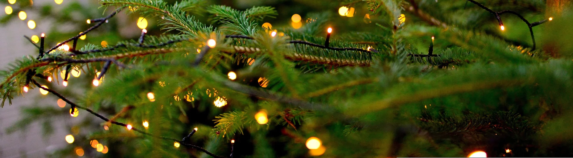 Unsere künstlichen Weihnachtsbäume sind online