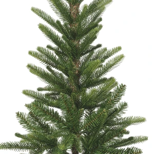 Alpbach fir 210 cm - afbeelding 2