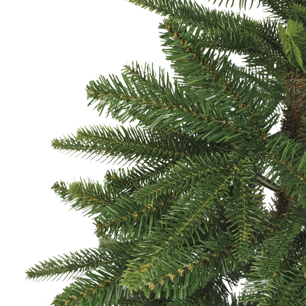 Alpbach fir 150 cm - afbeelding 3