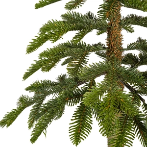 Alpine fir 240 cm - afbeelding 2