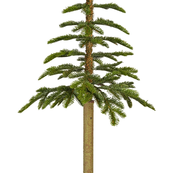 Alpine fir 240 cm - afbeelding 3