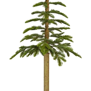 Alpine fir 240 cm - afbeelding 3