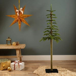 Alpine fir 240 cm - afbeelding 4
