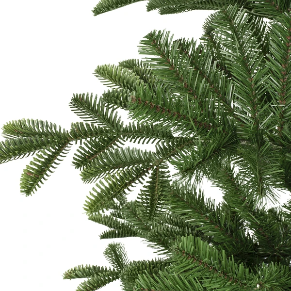 Balsamea fir 210 cm - afbeelding 3