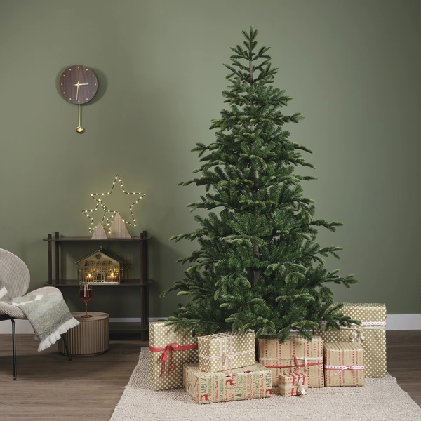 Balsamea fir 210 cm - afbeelding 4