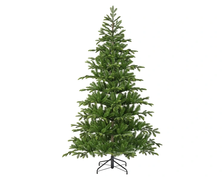 Balsamea fir 210 cm - afbeelding 1