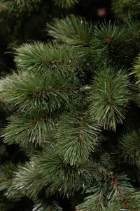 Camden kunstkerstboom 260 cm - afbeelding 2