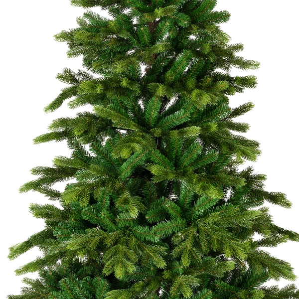Galloway spruce 240 cm - afbeelding 2