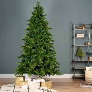 Galloway spruce 240 cm - afbeelding 3