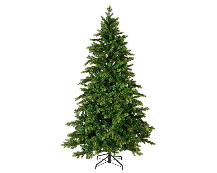 Galloway spruce 240 cm - afbeelding 1