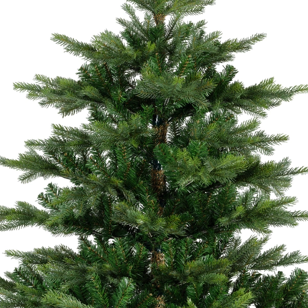 Grandis fir 180cm - afbeelding 2