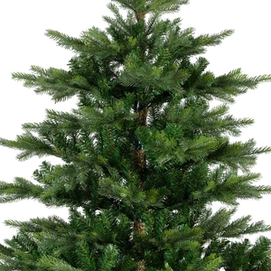 Grandis fir 180cm - afbeelding 2