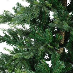 Grandis fir 180cm - afbeelding 3
