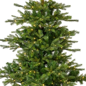 Grandis fir pre-lit 210 cm - afbeelding 2
