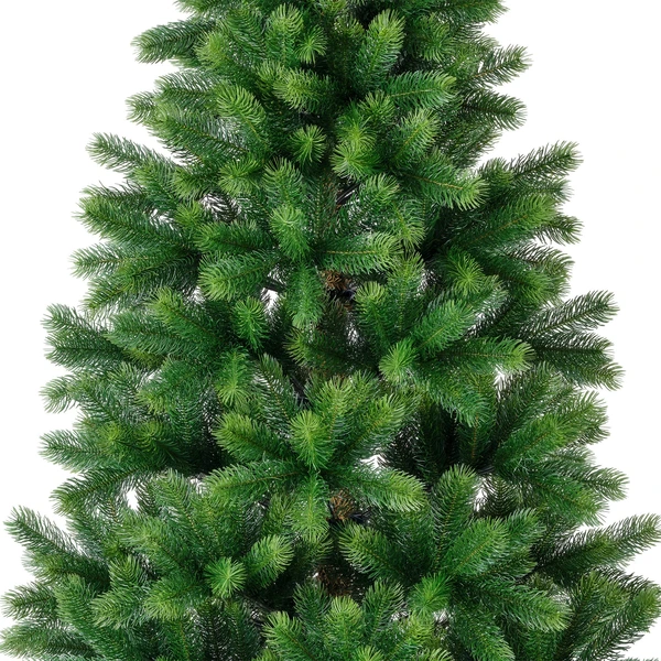 Kenmore fir 240 cm - afbeelding 2
