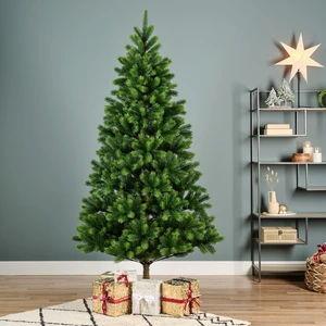 Kenmore fir 240 cm - afbeelding 3