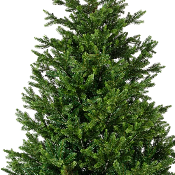 Nordmann fir 180cm - afbeelding 2