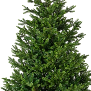 Nordmann fir 180cm - afbeelding 2