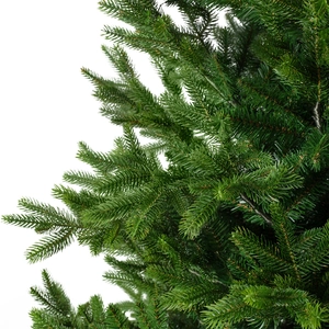 Nordmann fir 180cm - afbeelding 3