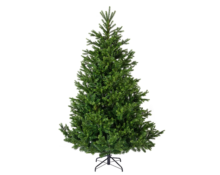 Nordmann fir 180cm - afbeelding 1