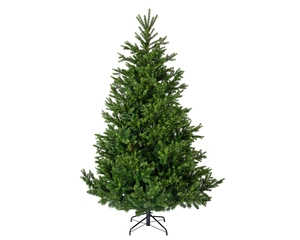 Nordmann fir
