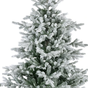 Snowy grandis fir 300cm - afbeelding 2