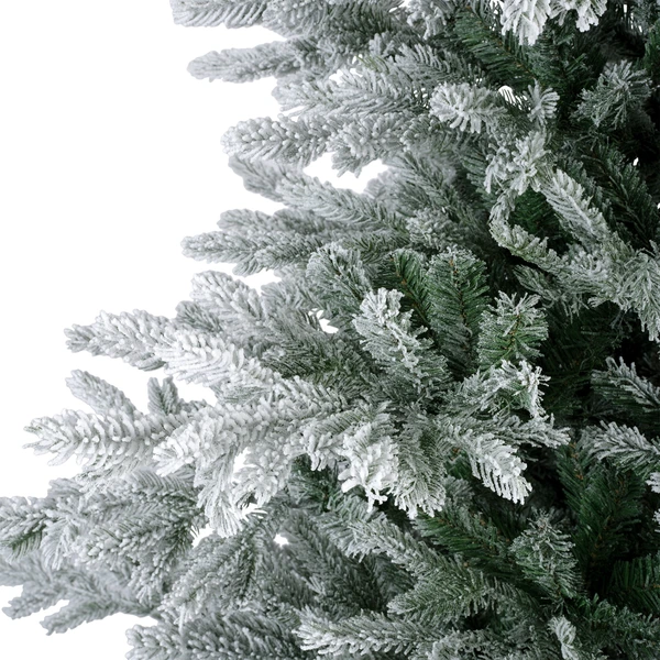 Snowy grandis fir 300cm - afbeelding 3