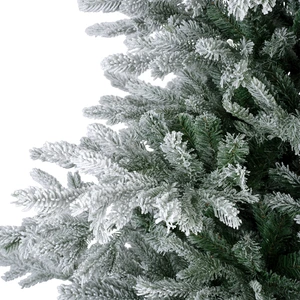 Snowy grandis fir 300cm - afbeelding 3