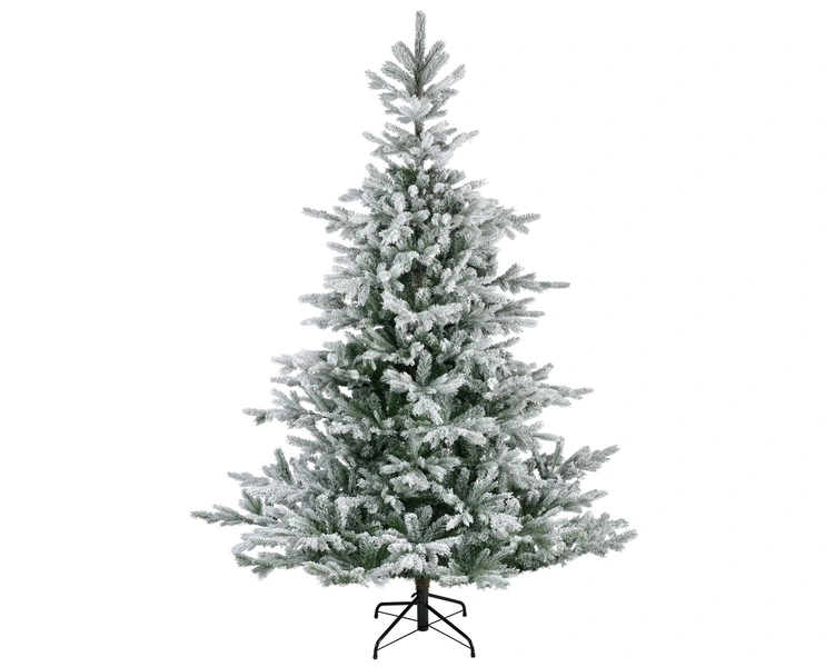 Snowy grandis fir 300cm - afbeelding 1